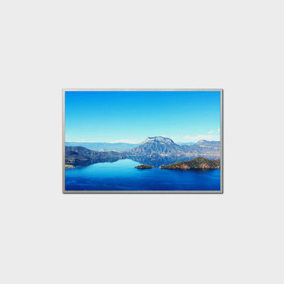 10.1 Zoll hohe Helligkeit LCD-Display 1280*800 LVDS 1000nits