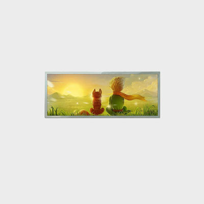 21.9 Zoll Bar-Typ LCD-Display 1920*712 LVDS 1000nits