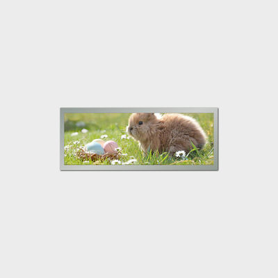 Bar Typ 9 Zoll LCD-Display 1280*448 LVDS 500nits Für den öffentlichen Verkehr