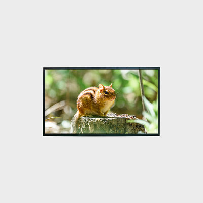 LCD-Bildschirm 43 Zoll LCD-Panel mit einer Auflösung von 1500 Nits 1920*1080 LCMA-RX0430GL10-C150