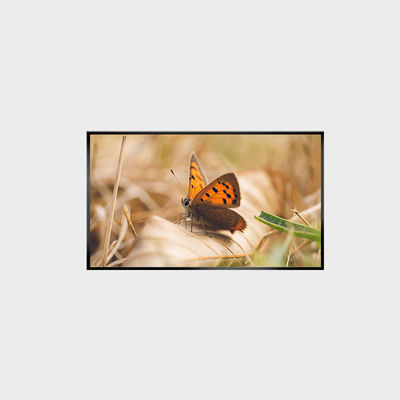 43 Zoll LCD-Panel 2000nits 1920*1080 LCMA-RX0430GL13-Z200