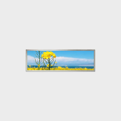 19,4-Zoll-TFT-LCD-Display-Lösung mit 1920*510, unterstützt die Anpassung für Smart-Home-Anwendungen