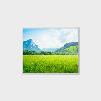 19 inch TFT Display LVDS Interface With 1280*1024 Resolution Support Customized Soltuion