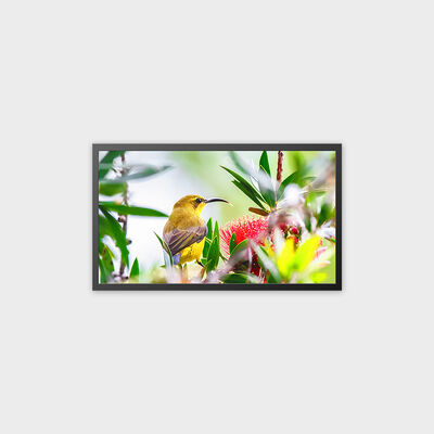 32-Zoll-TFT-LCD-Werbedisplay mit 4000 Nits und hoher Helligkeit
