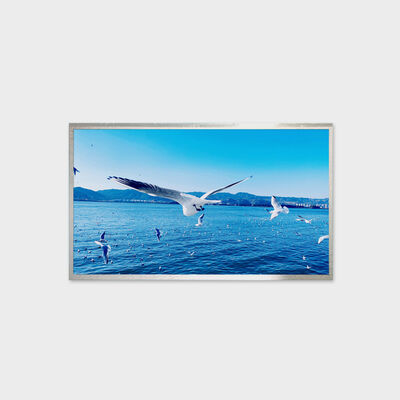 13,3-Zoll-TFT-LCD-Lösung, 800 Nits Helligkeitslösung, breite Temperaturanzeige