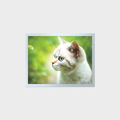 15-Zoll-TFT-LCD mit hoher Helligkeit und langer Lebensdauer für industrielle Instrumententafeln