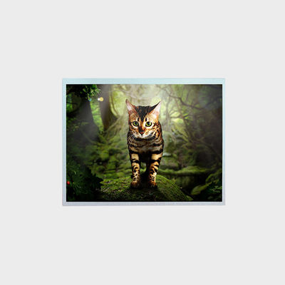 12.1 inch TFT LCD Display With Android System Outdoor Machine