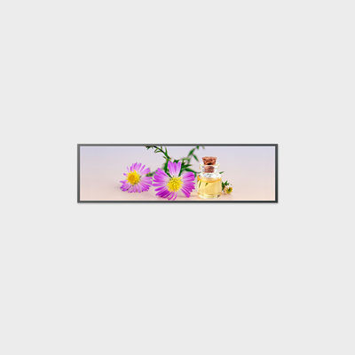 490,5-Zoll-LCD-Bildschirm 3840*1080 V-by-One 250 Nits