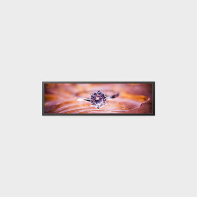 19.5-Zoll-LCD-Bildschirm 1920*536 700nits LVDS-LCD-Bildschirm hohe Anti-Vibration