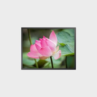 34.3 Zoll Quadrat LCD-Panel 1856*1420 1500 Nits LCD-Display-Modul