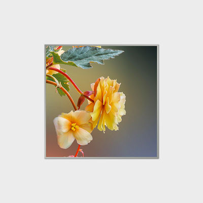 33.2 Zoll quadratische LCD-Anzeige 420nits LVDS-LCD-Modul für Einkaufszentren