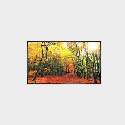 LCD-Bildschirm 43 Zoll LCD-Panel 1000nits Auflösung 3840*2160 LCMA-RX0430GL19-Z100