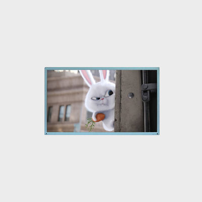 17.3-Zoll-LCD-Anzeige Außen-Steuerplatte Anwendungsunterstützung Anpassung LCMA-RX0173GA01-C080