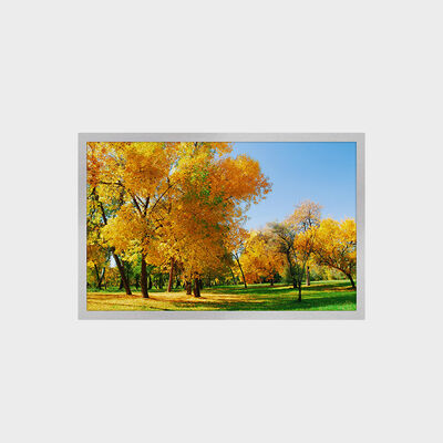 12.1 Zoll TFT-LCD-Display mit 1280*800 Auflösung 16:9 LVDS-Schnittstelle 1500nits