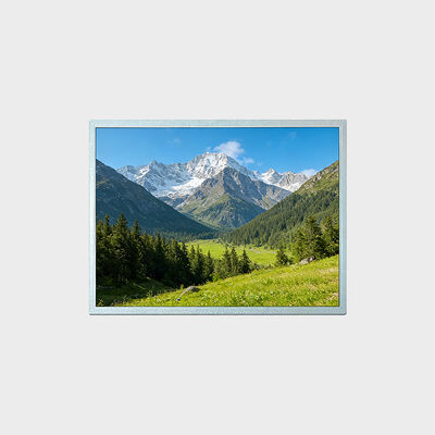 15-Zoll-TFT-LCD-Display mit einer Auflösung von 1024 x 768, unterstützt eine Lösung bei -30–80 °C