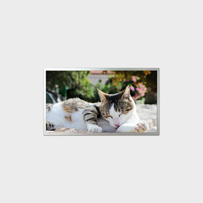 18,5-Zoll-TFT-LCD-Display E-LED-Serienlösung mit 1200 Nits Helligkeit