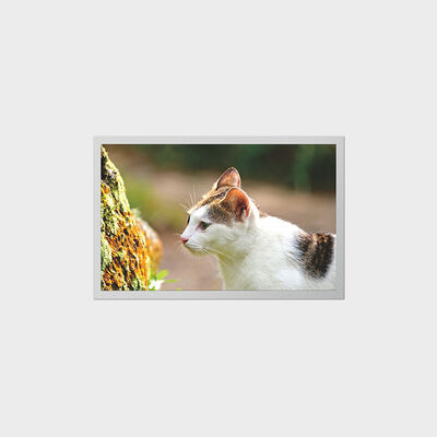 12,1-Zoll-TFT-Display mit LCD mit geringem Stromverbrauch für tragbare medizinische Geräte