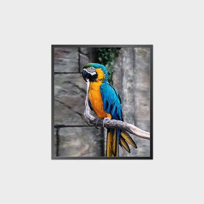 High Contrast Quadrat LCD Panel 35,6 Zoll 950*1080 500nit Mit Android System