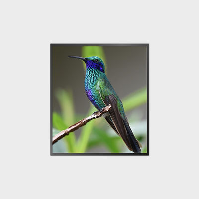 27.9 Inch Square LCD Screen 1920*2160 500nits 0-50℃  V-By-One LCD Module Display