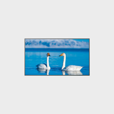 65 Zoll Hochhelligkeits-LCD-Panel 1920*1080 2000nits LCMA-RX0650GB08-Z200