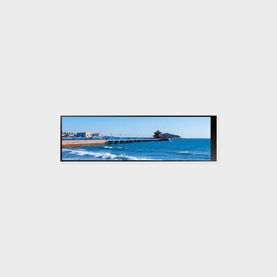 4,6-Zoll-Balken-LCD-Display mit 320 x 960, unterstützt Porträtmodus mit 300 Nits Helligkeit