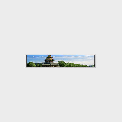 6,9-Zoll-Balken-LCD mit einer Auflösung von 280 x 1424, unterstützt die Anpassung der Helligkeit
