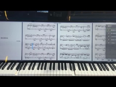 49,5 Zoll Bar-Typ LCD-Display LCMA-RX0495TL01-C025 2500 Nits Helligkeitslösung