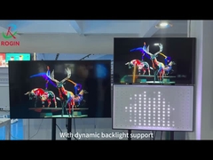 Einführung in die technische Unterstützung für Rogin Local Dimming