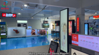 Rogin's Show Room – Kleines und mittleres Full-HD-LCD-Modul