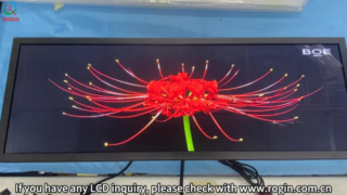 Rogin 24,8-Zoll-LCD-Bar-Display für Einzelhandelsvitrinen